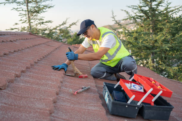 Best Flat Roof Repair Services  in Piney Mountain, VA