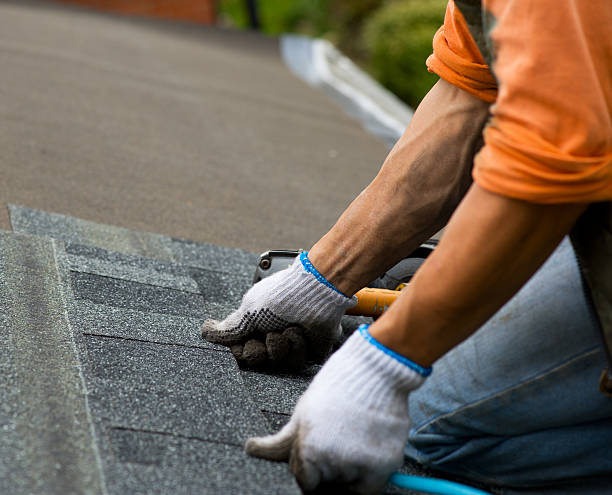 Best Commercial Roof Installation  in Piney Mountain, VA