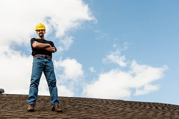 Best Gutter Installation and Roofing  in Piney Mountain, VA